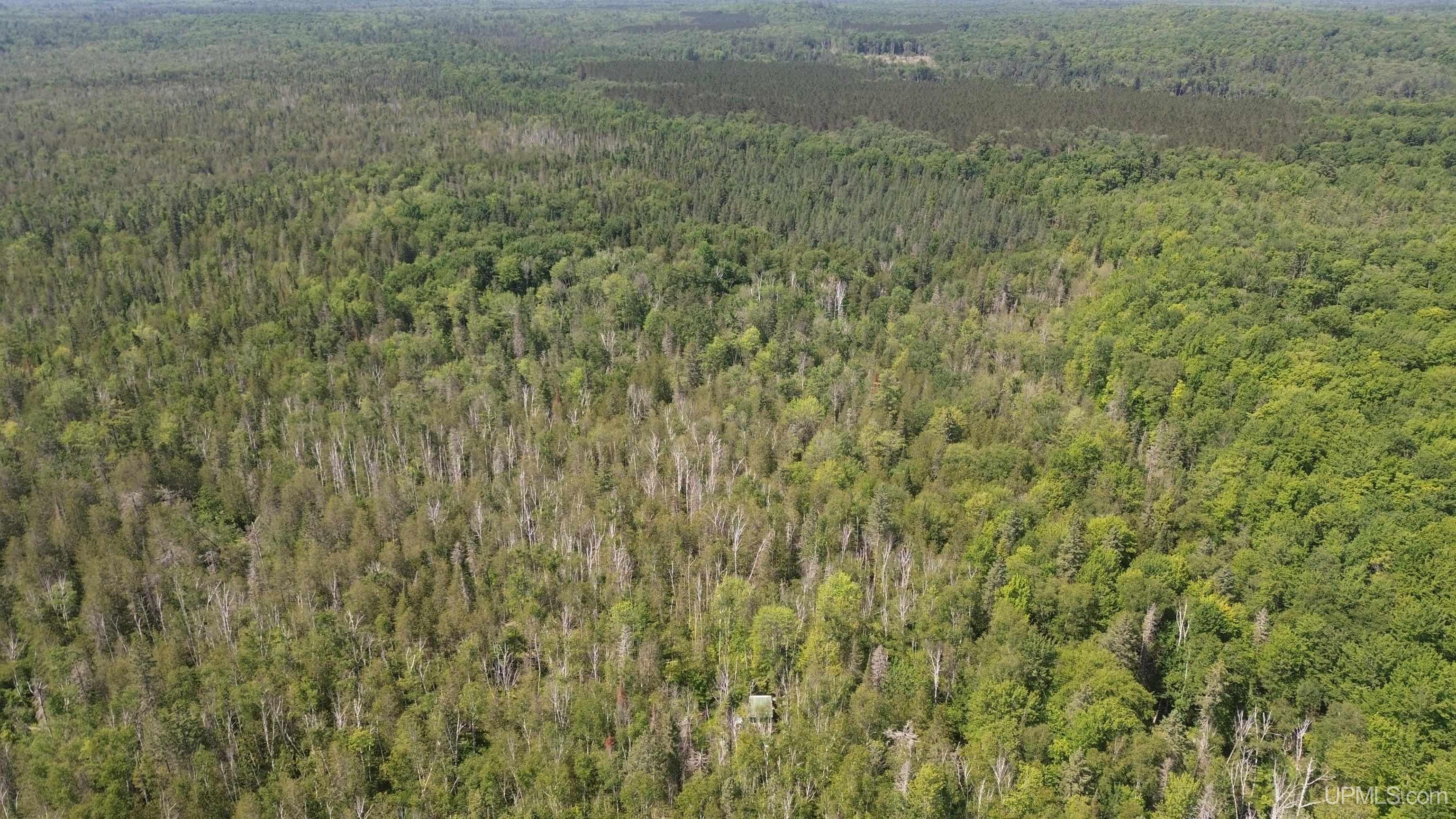 13 Highway Wetmore, MI 49895 - Photo 5 of 39