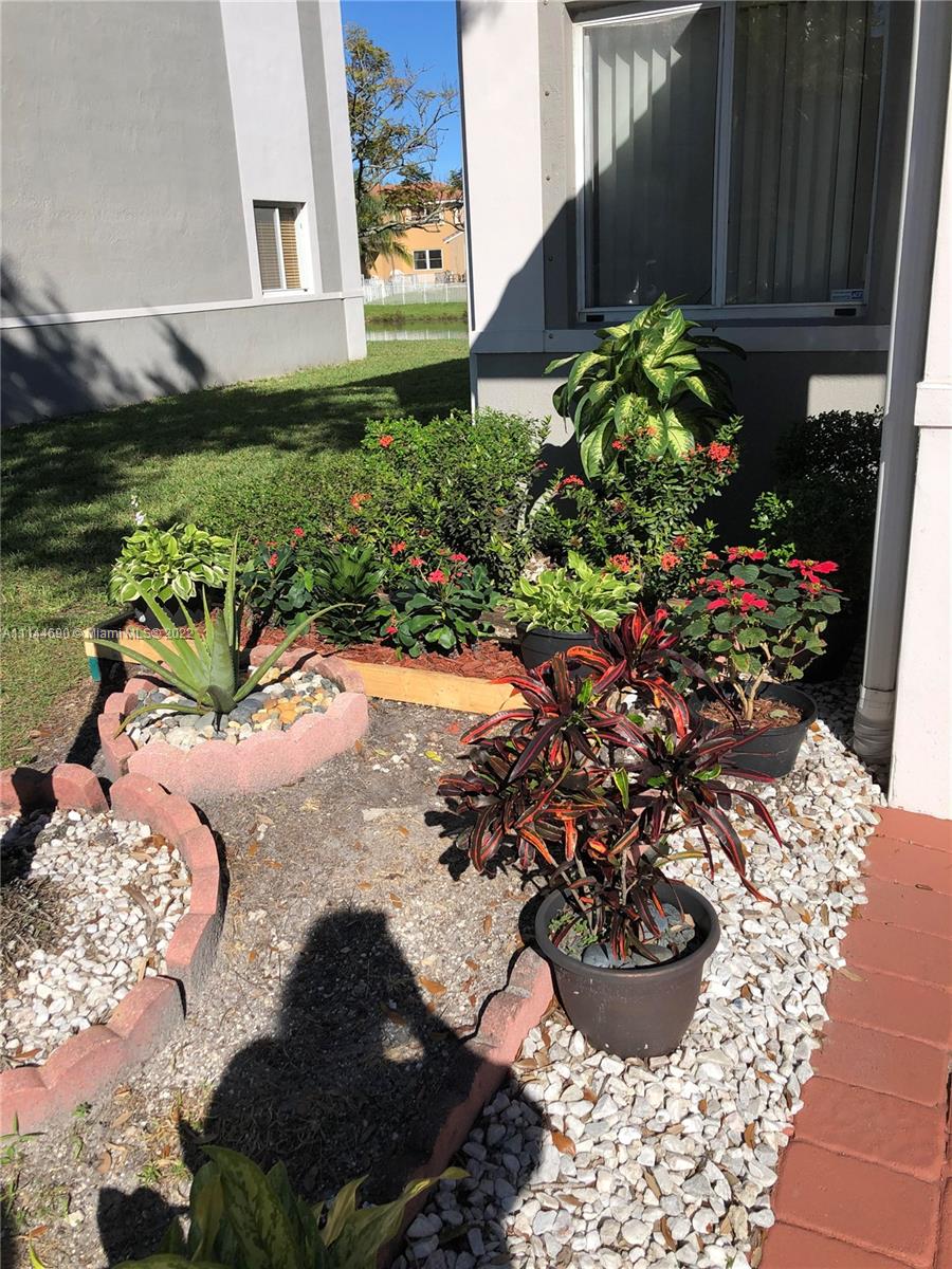Monarch Lakes Miramar, FL 33027 - Photo 3 of 31 a view of a flower in a yard