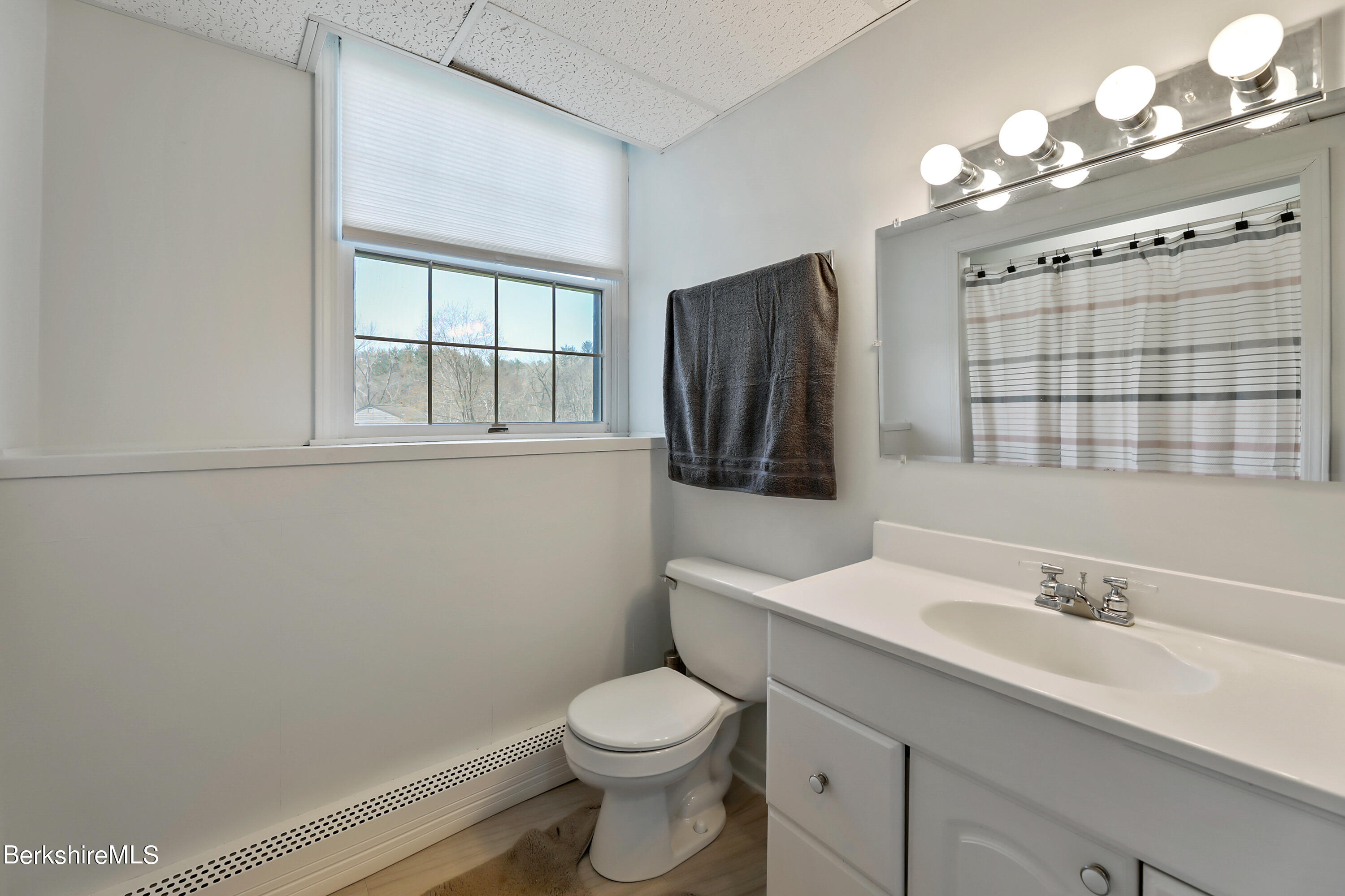 31 Olsen Road Lanesborough, MA 01237 - Photo 23 of 31 a bathroom with a sink a toilet and mirror