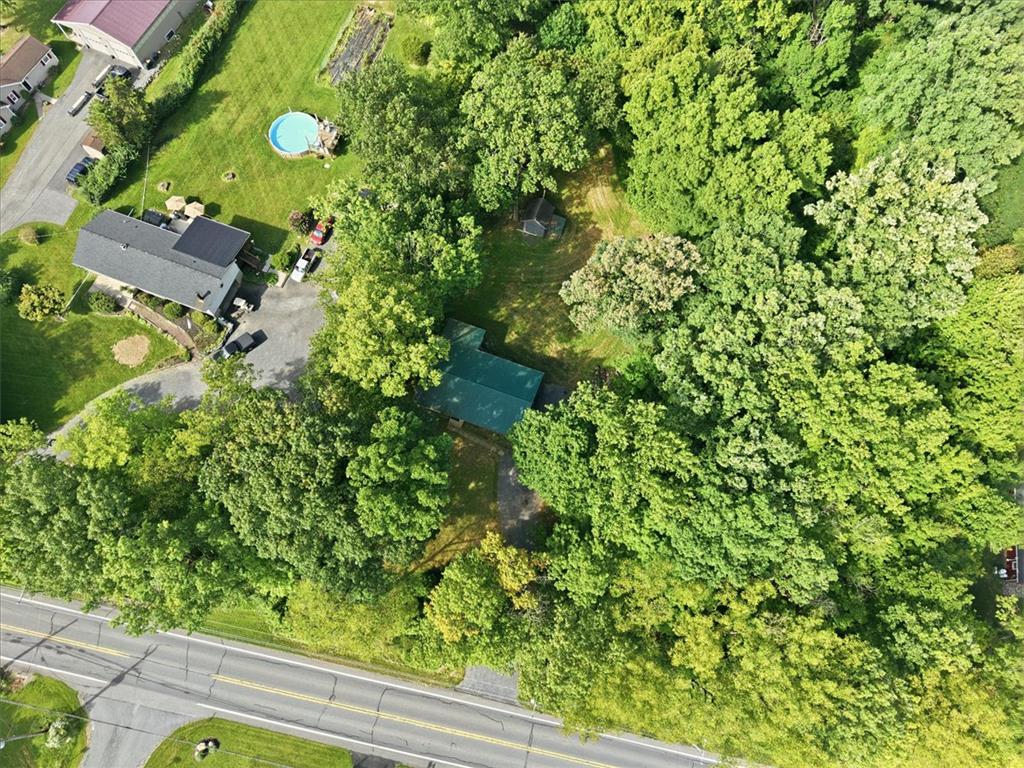 9870 North Delaware Drive Bangor, PA 18013 - Photo 56 of 62 Lush mature trees envelope this secluded property, offering ultimate privacy from the nearby road.
