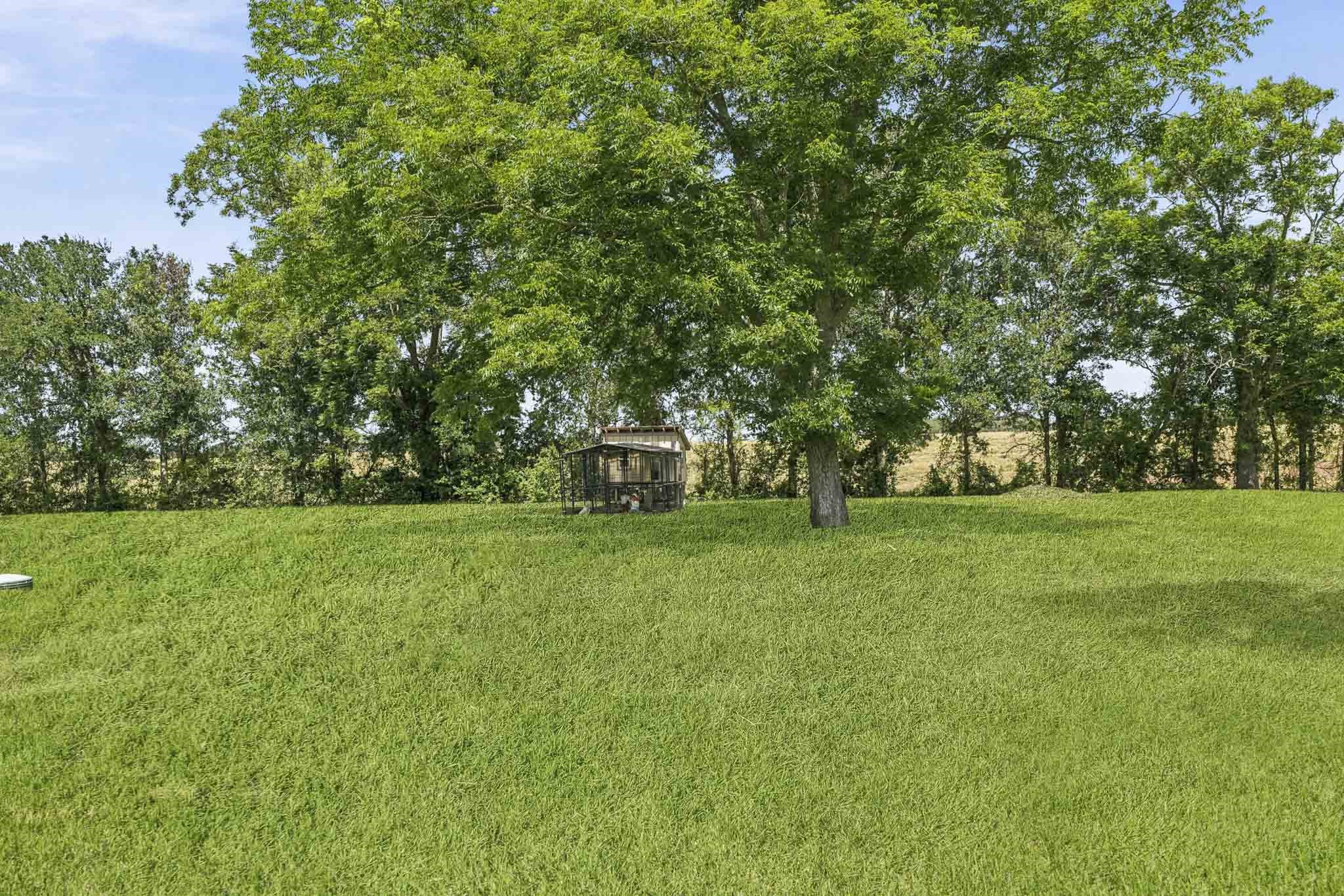 302 Country Road 893 Angleton, TX 77515 - Photo 3 of 26 Spacious, lush green backyard with a large tree providing shade. There's a small structure, possibly a chicken coop, adding rustic charm to the serene outdoor space.