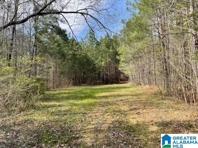 2659 Oldfield Road, Unit 1 Sylacauga, AL 35150 - Photo 3 of 5