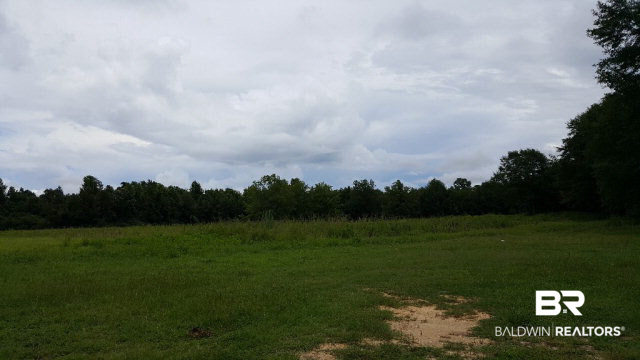 1603 Conaly Street Repton, AL 36475 - Photo 2 of 4
