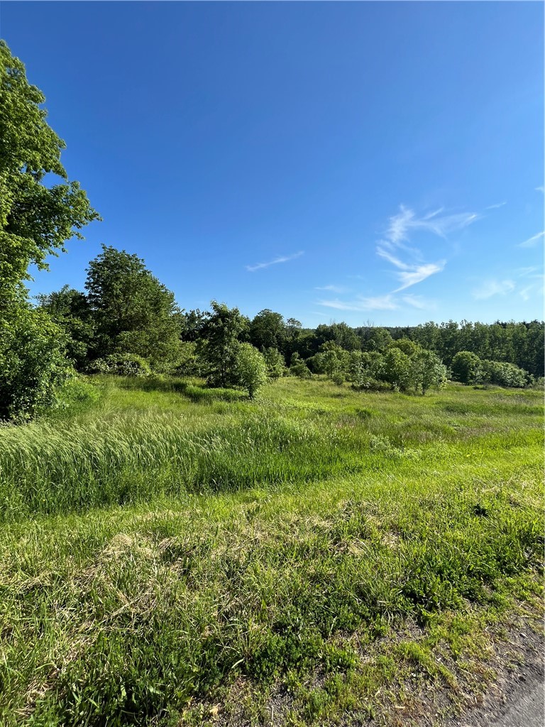 3633 Warner Road Marion, NY 14505 - Photo 2 of 34