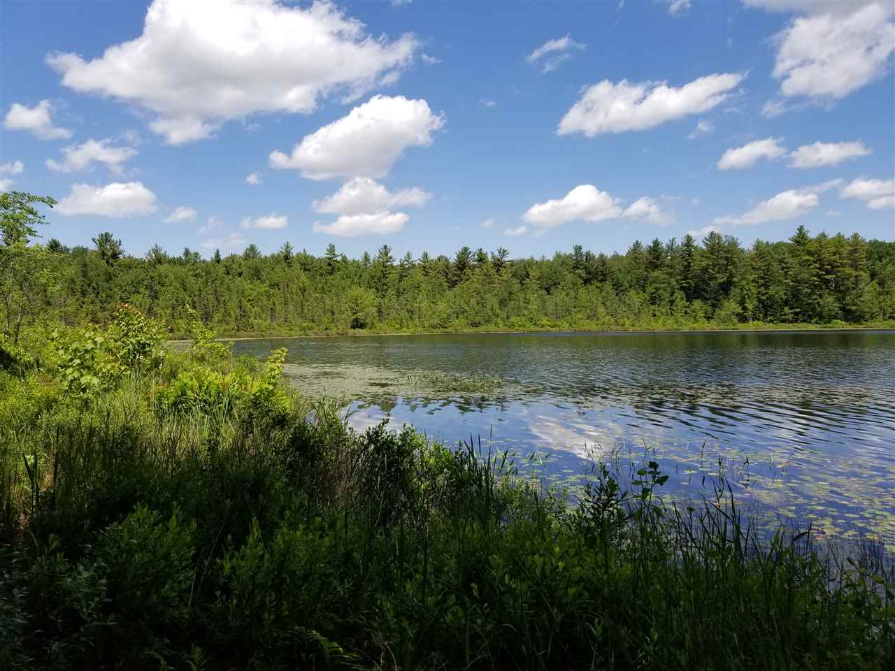 60 Snow Pond Road Concord, NH 03301 - Photo 3 of 17 Gallery Image 3