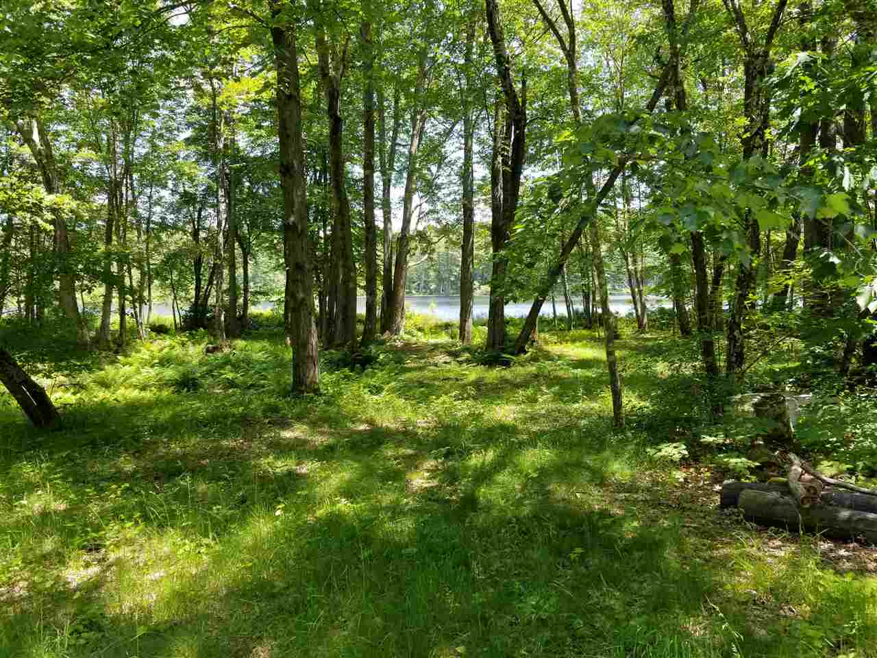 60 Snow Pond Road Concord, NH 03301 - Photo 7 of 17 Gallery Image 7