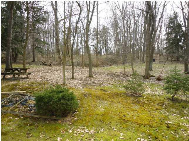 3917 Anderson Road Gibsonia, PA 15044 - Photo 24 of 25 Yard/Garden.