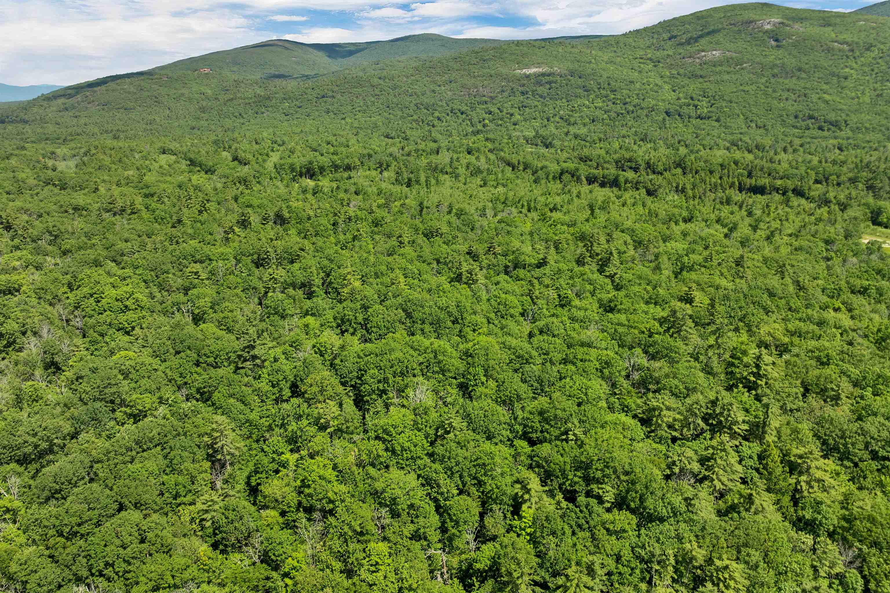 0 Caverly Road, Unit 2 Moultonborough, NH 03254 - Photo 7 of 26