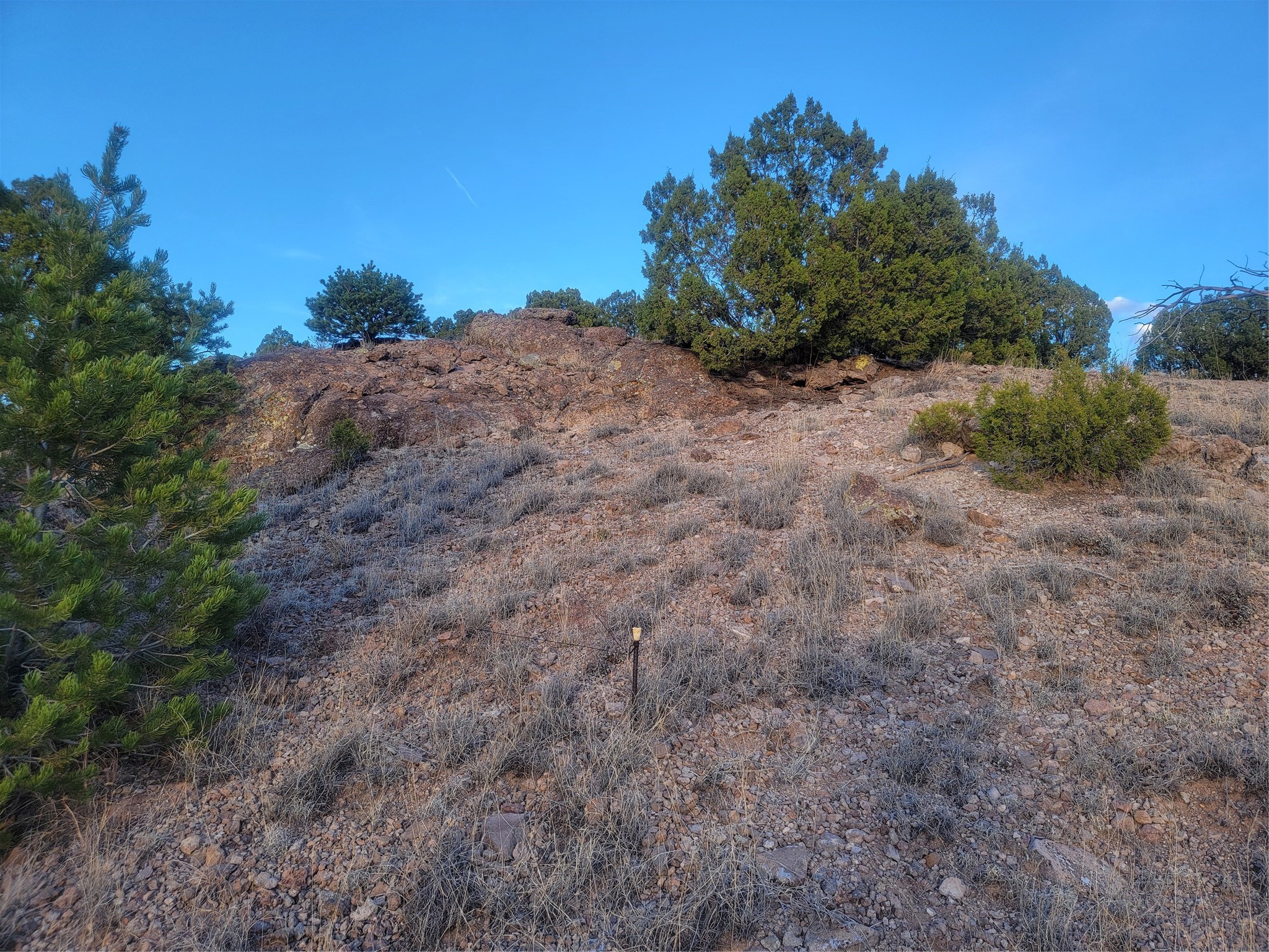 218 Horny Toad Road Cerrillos, NM 87010 - Photo 15 of 16