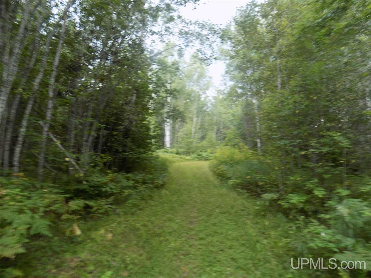 Tbd Mill Creek Road Republic, MI 49879 - Photo 2 of 11