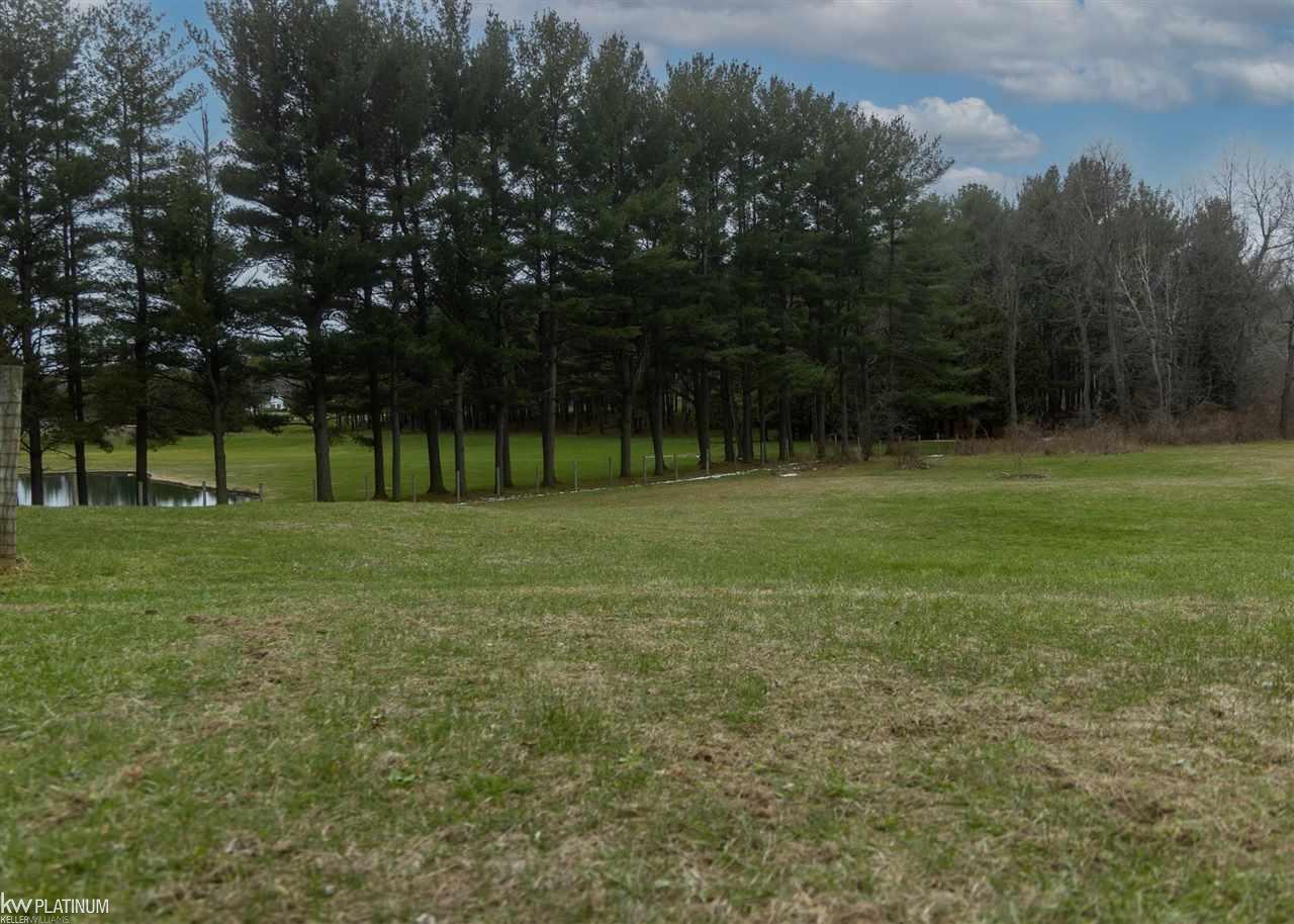 3910 South Lake George Road Dryden, MI 48428 - Photo 26 of 29 50071460-25.JPG