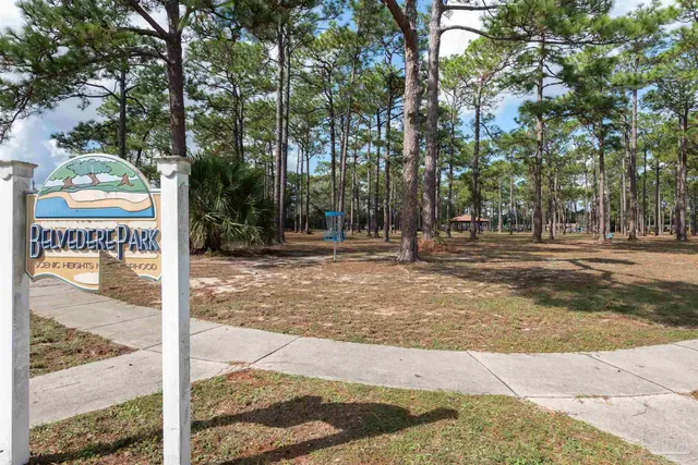 a view of a park that has large trees