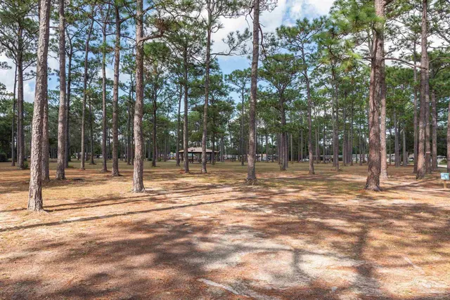 a view of outdoor space with trees
