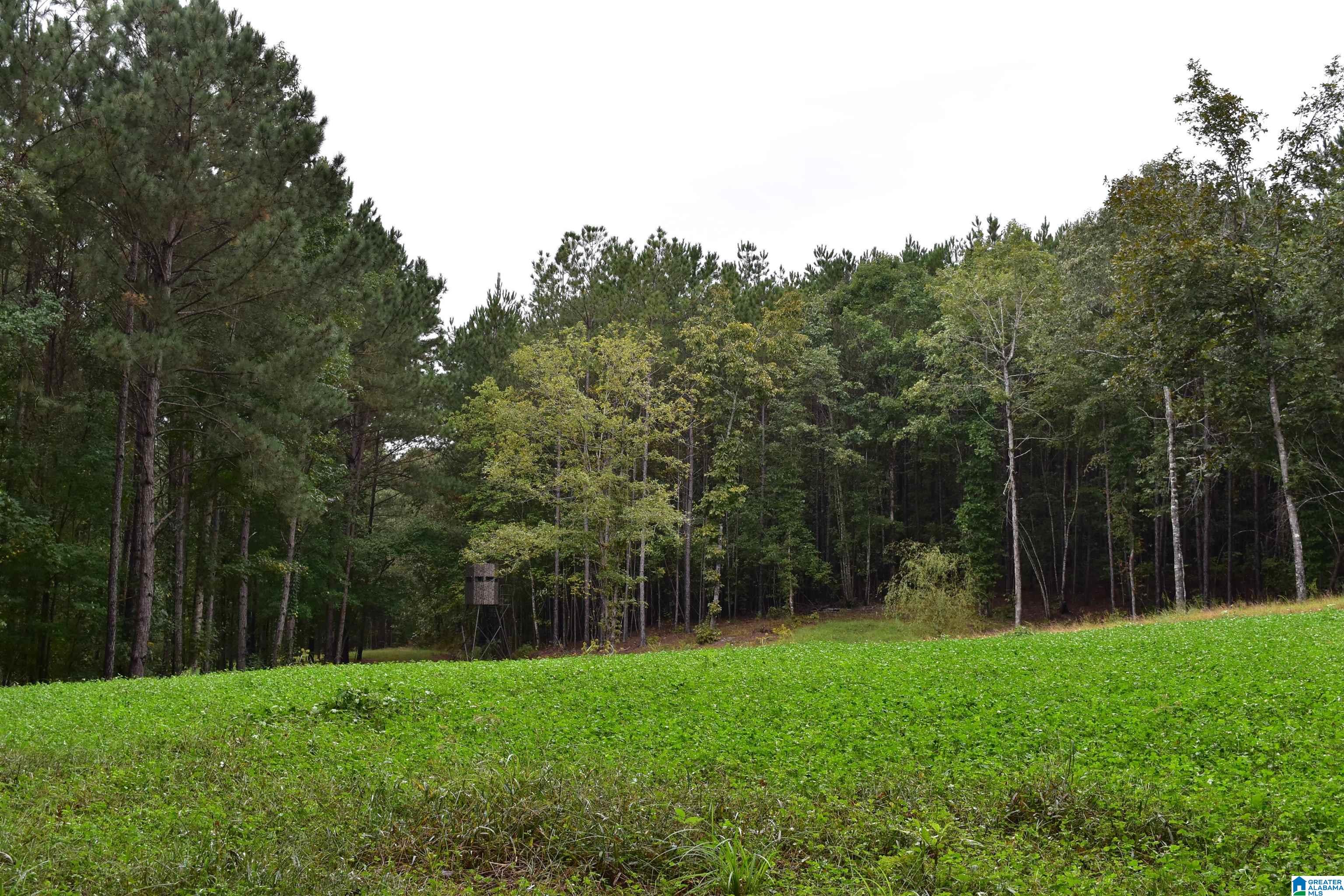 Copper Road Columbiana, AL 35051 - Photo 4 of 56 Gallery Image 4