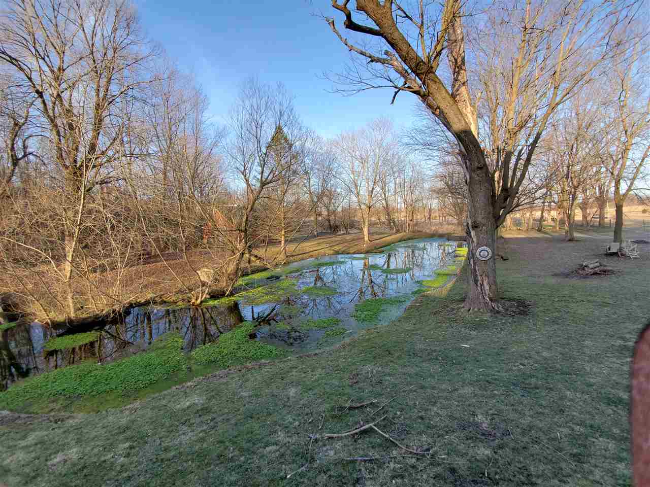 14375 West Springdale Road Forreston, IL 61030 - Photo 29 of 39 a view of backyard with tree