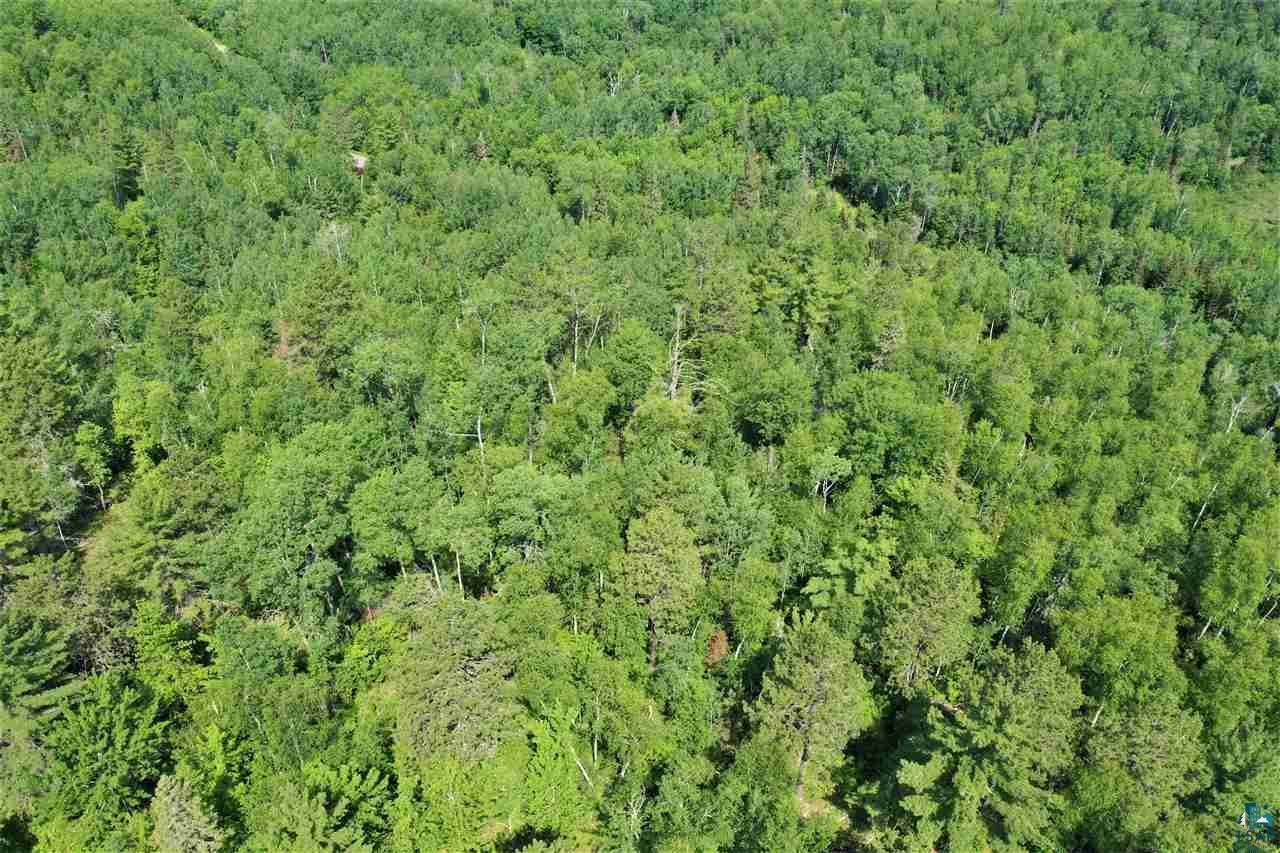 Xxx Wolf Lake Road Ely, MN 55731 - Photo 13 of 27 Gallery Image 13