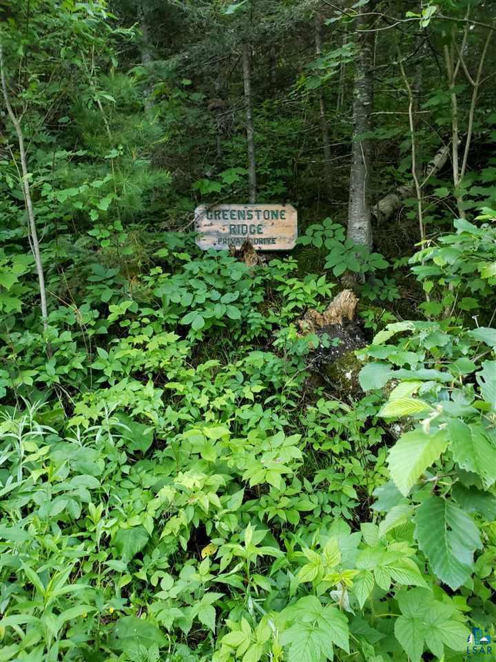 Xxx Wolf Lake Road Ely, MN 55731 - Photo 14 of 27 Gallery Image 14
