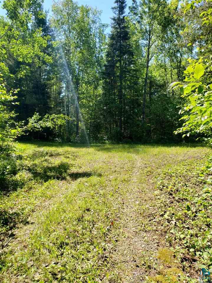 Xxx Wolf Lake Road Ely, MN 55731 - Photo 16 of 27 Gallery Image 16
