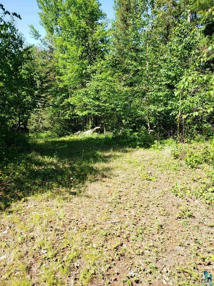 Xxx Wolf Lake Road Ely, MN 55731 - Photo 20 of 27 Gallery Image 20