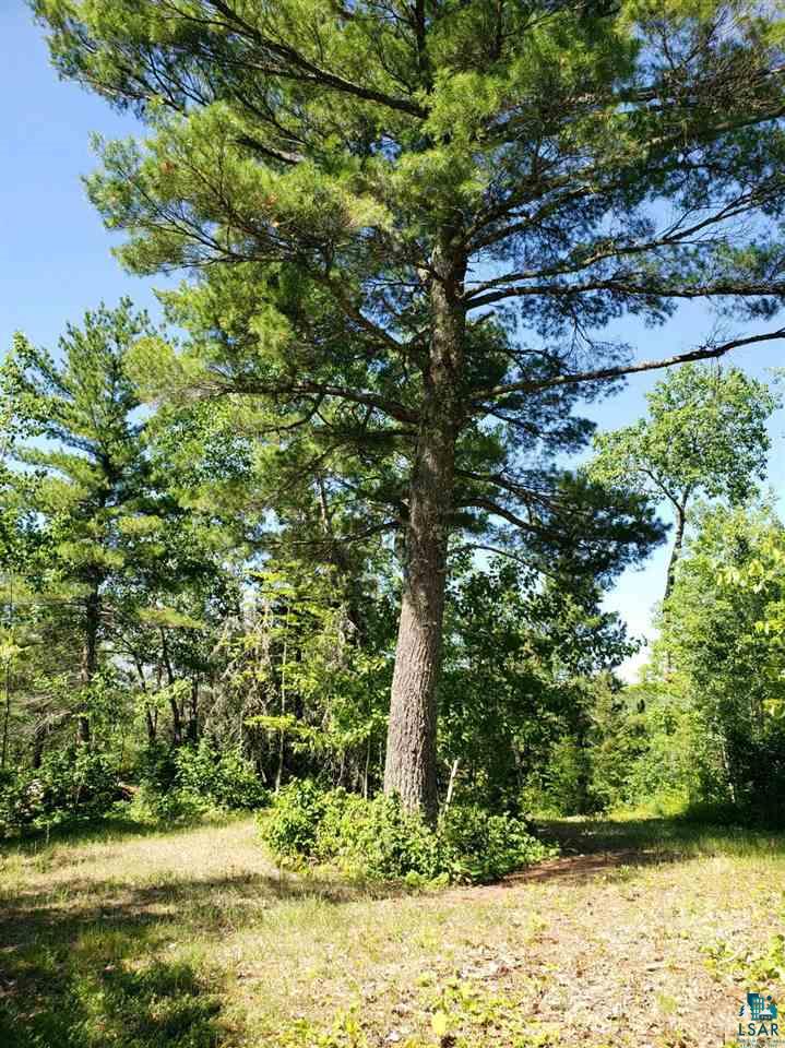 Xxx Wolf Lake Road Ely, MN 55731 - Photo 24 of 27 Gallery Image 24