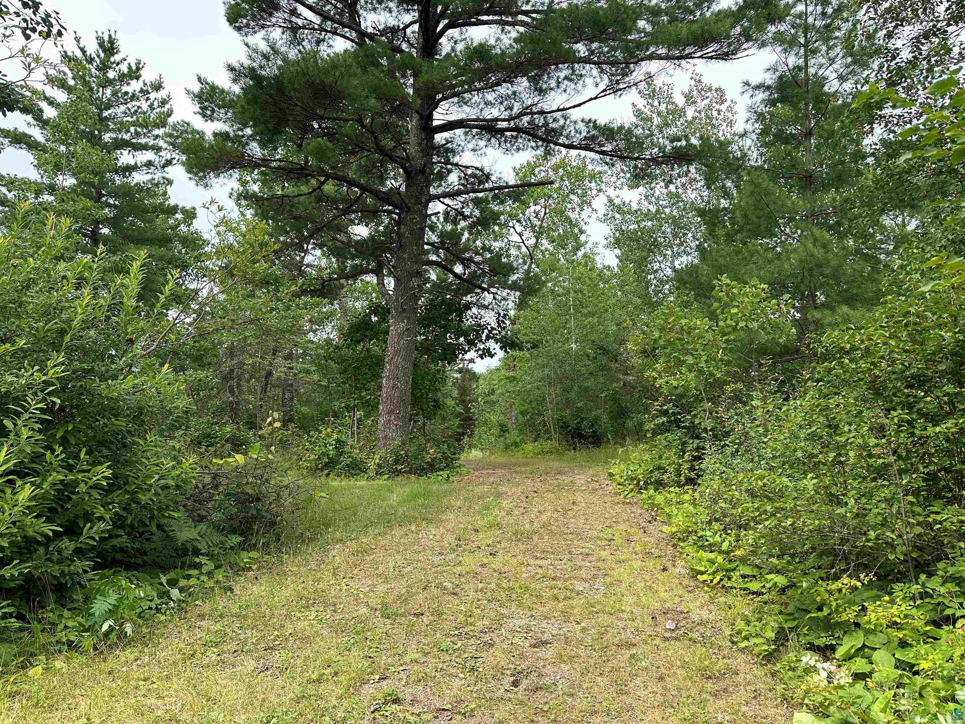 View of nature