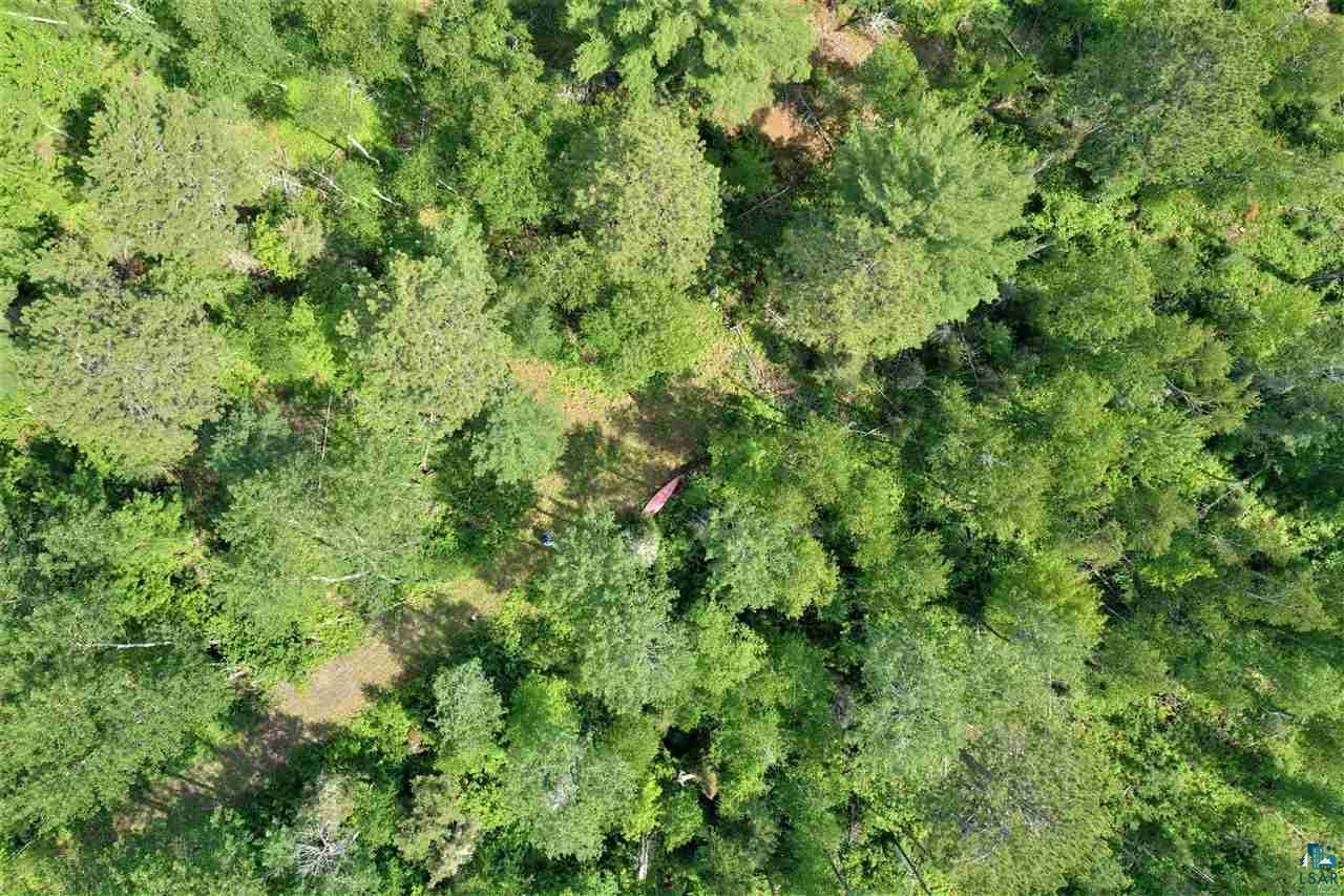 Xxx Wolf Lake Road Ely, MN 55731 - Photo 8 of 27 Gallery Image 8