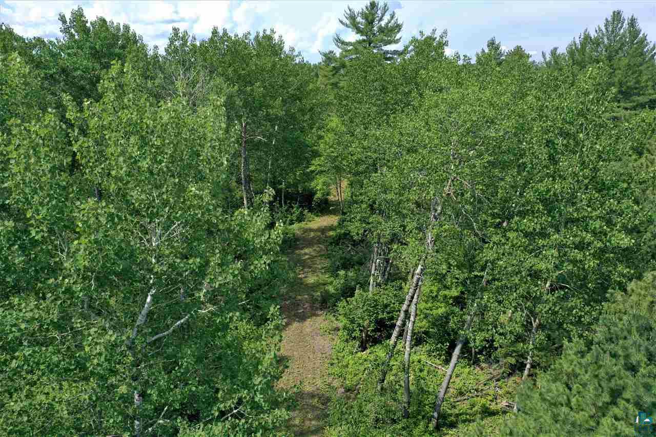 Xxx Wolf Lake Road Ely, MN 55731 - Photo 10 of 27 Gallery Image 10