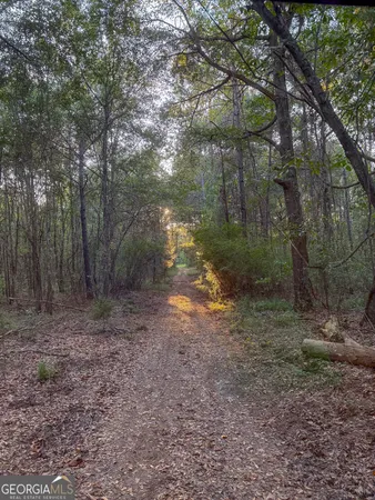 $389,000 | 105 Buchanan Road, Americus, GA 31719