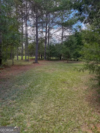 a view of a trees with a yard