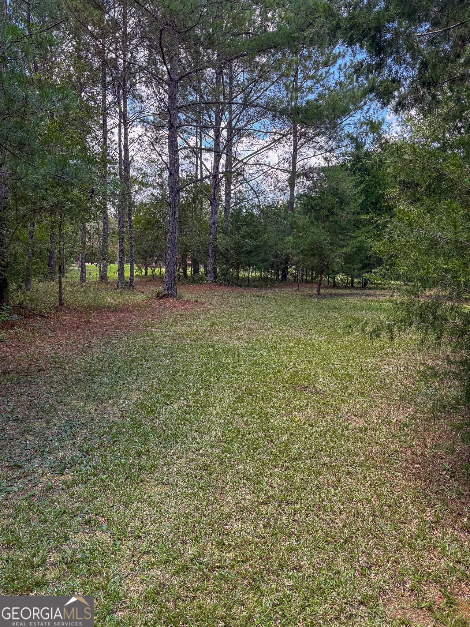 105 Buchanan Road Americus, GA 31719 - Photo 26 of 31 a view of a field with trees in the background