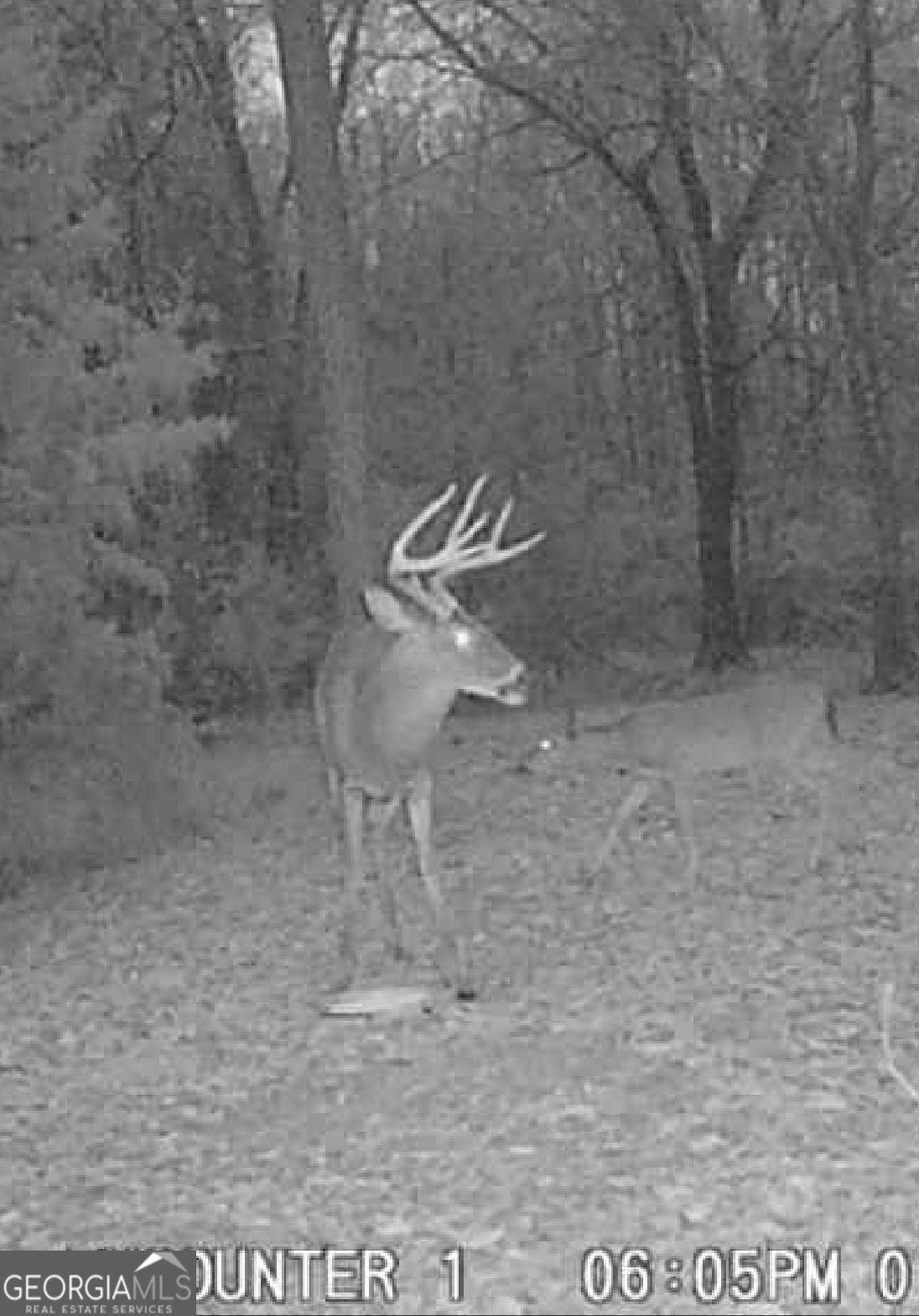105 Buchanan Road Americus, GA 31719 - Photo 26 of 27 a picture of a bathroom with a shower