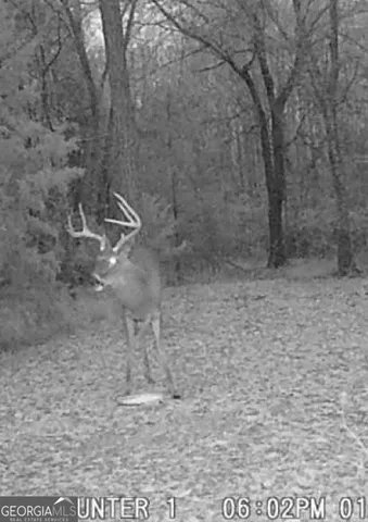 $425,000 | 105 Buchanan Road, Americus, GA 31719