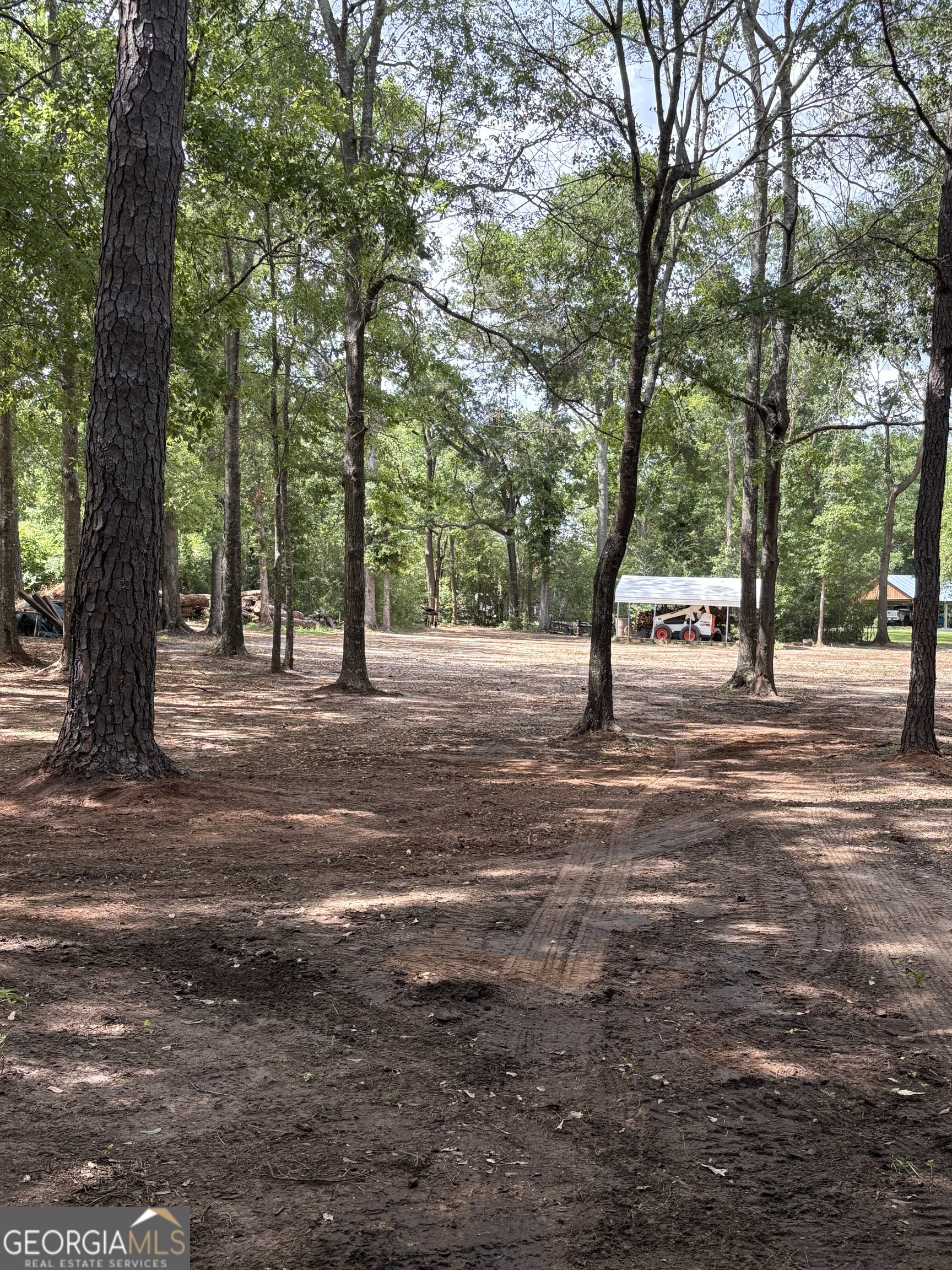 105 Buchanan Road Americus, GA 31719 - Photo 28 of 31 a view of outdoor space with trees