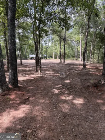 $389,000 | 105 Buchanan Road, Americus, GA 31719