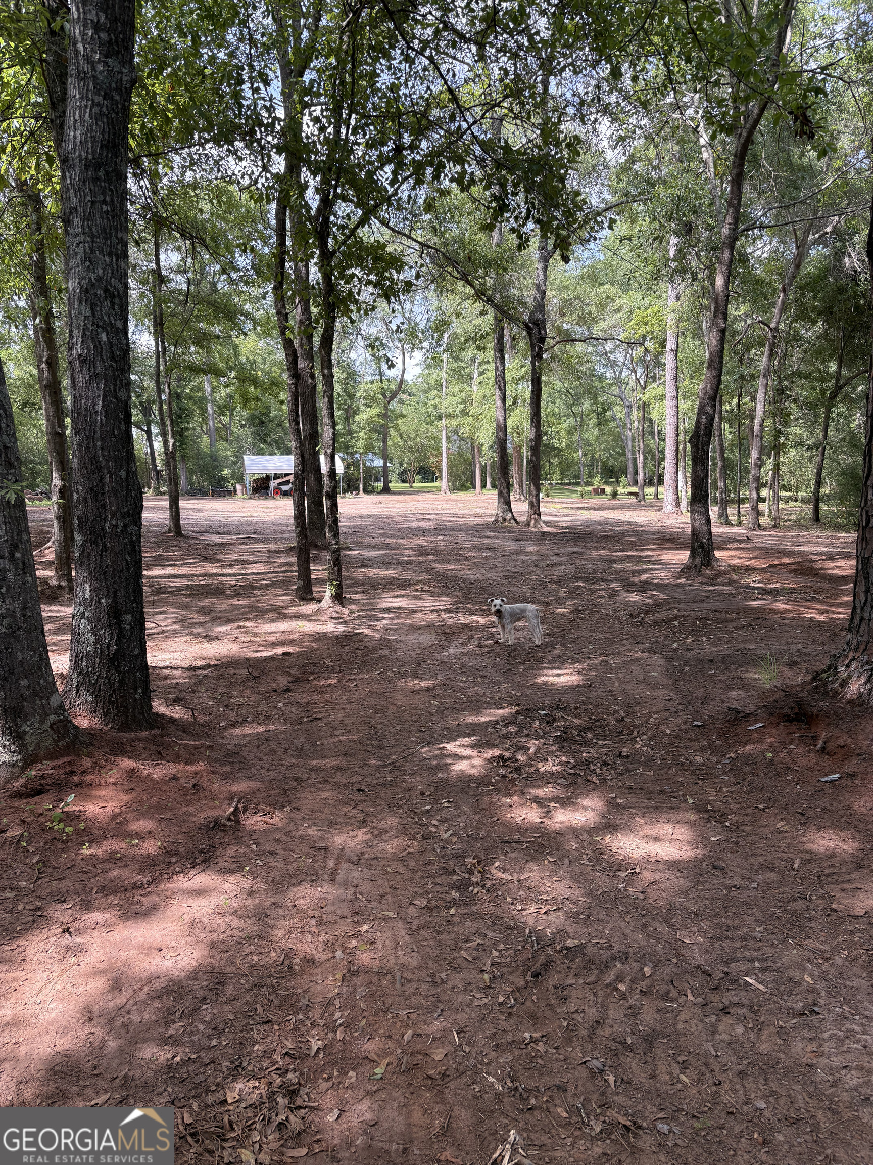 105 Buchanan Road Americus, GA 31719 - Photo 29 of 31 a view of a trees with a yard