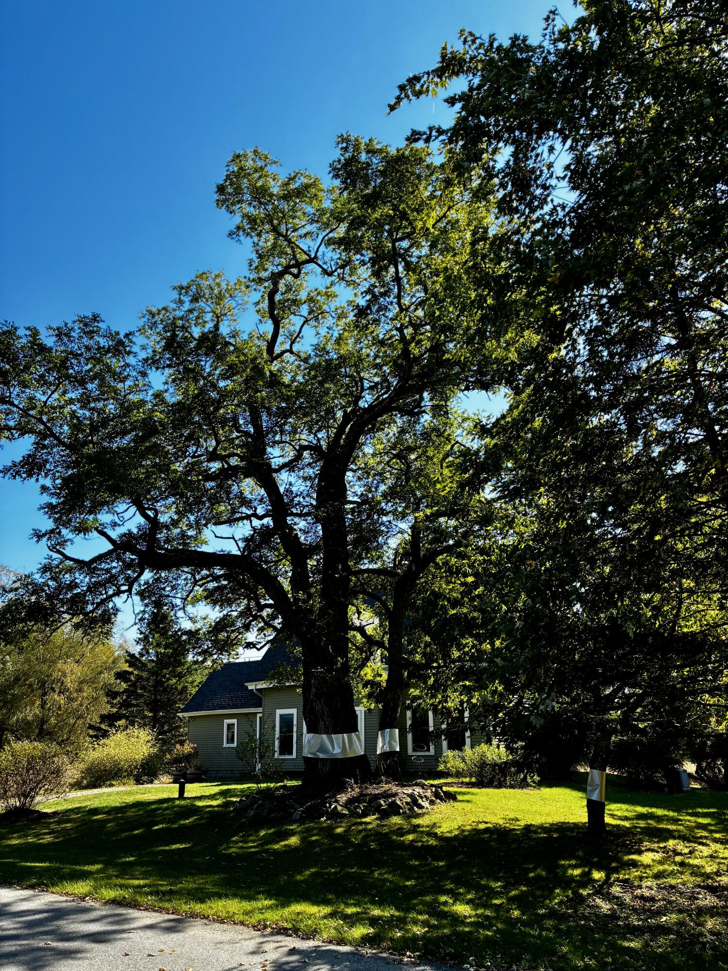 113 Wardwell Point Road Penobscot, ME 04476 - Photo 37 of 54 IMG_1913