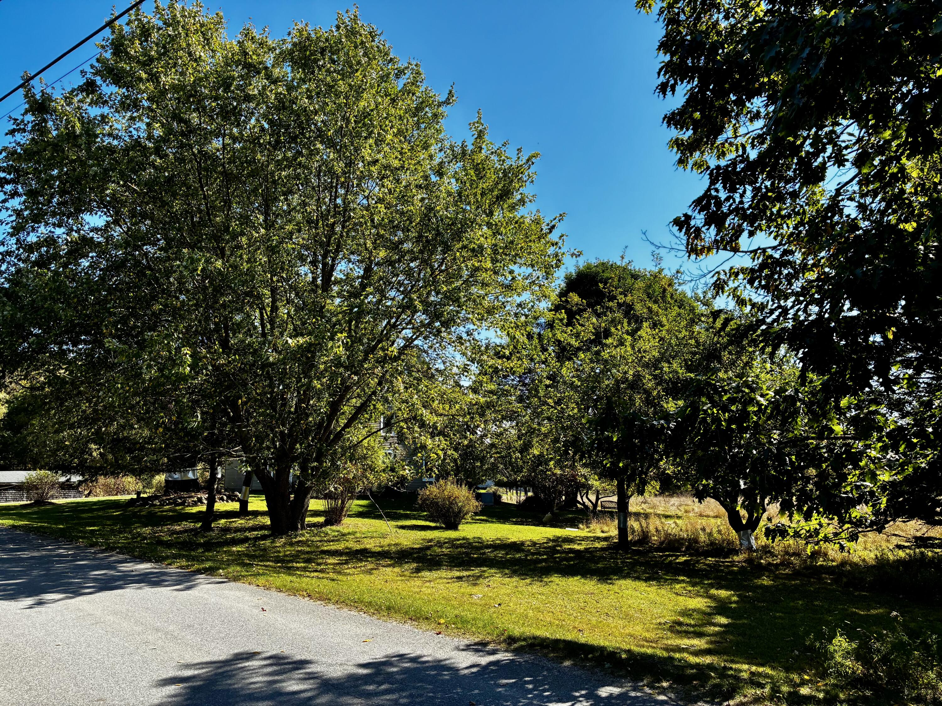 113 Wardwell Point Road Penobscot, ME 04476 - Photo 43 of 54 IMG_1912