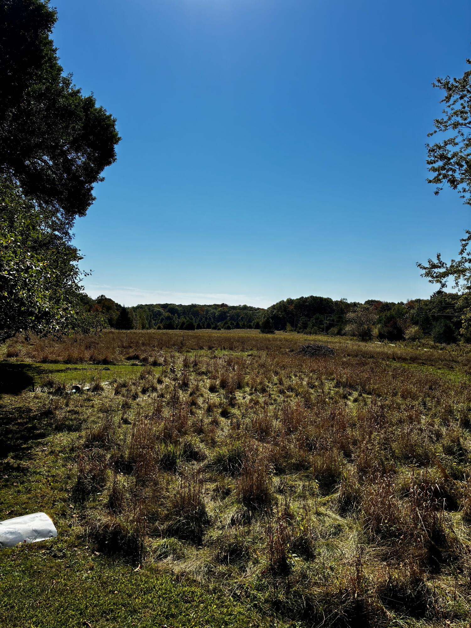 113 Wardwell Point Road Penobscot, ME 04476 - Photo 44 of 54 IMG_1911