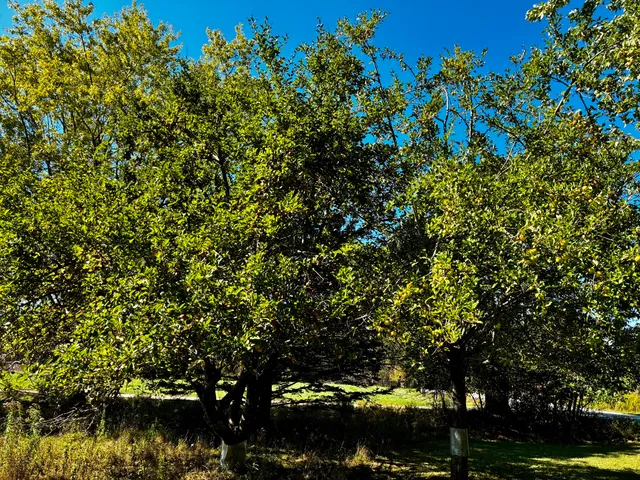 $479,900 | 113 Wardwell Point Road, Penobscot, ME 04476