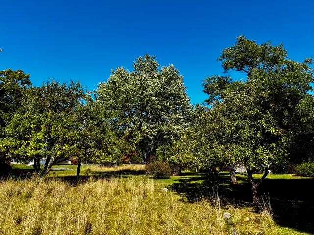 $479,900 | 113 Wardwell Point Road, Penobscot, ME 04476