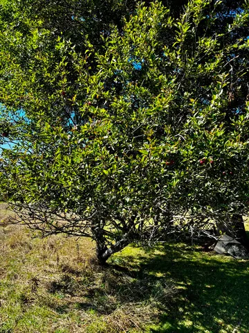 $479,900 | 113 Wardwell Point Road, Penobscot, ME 04476