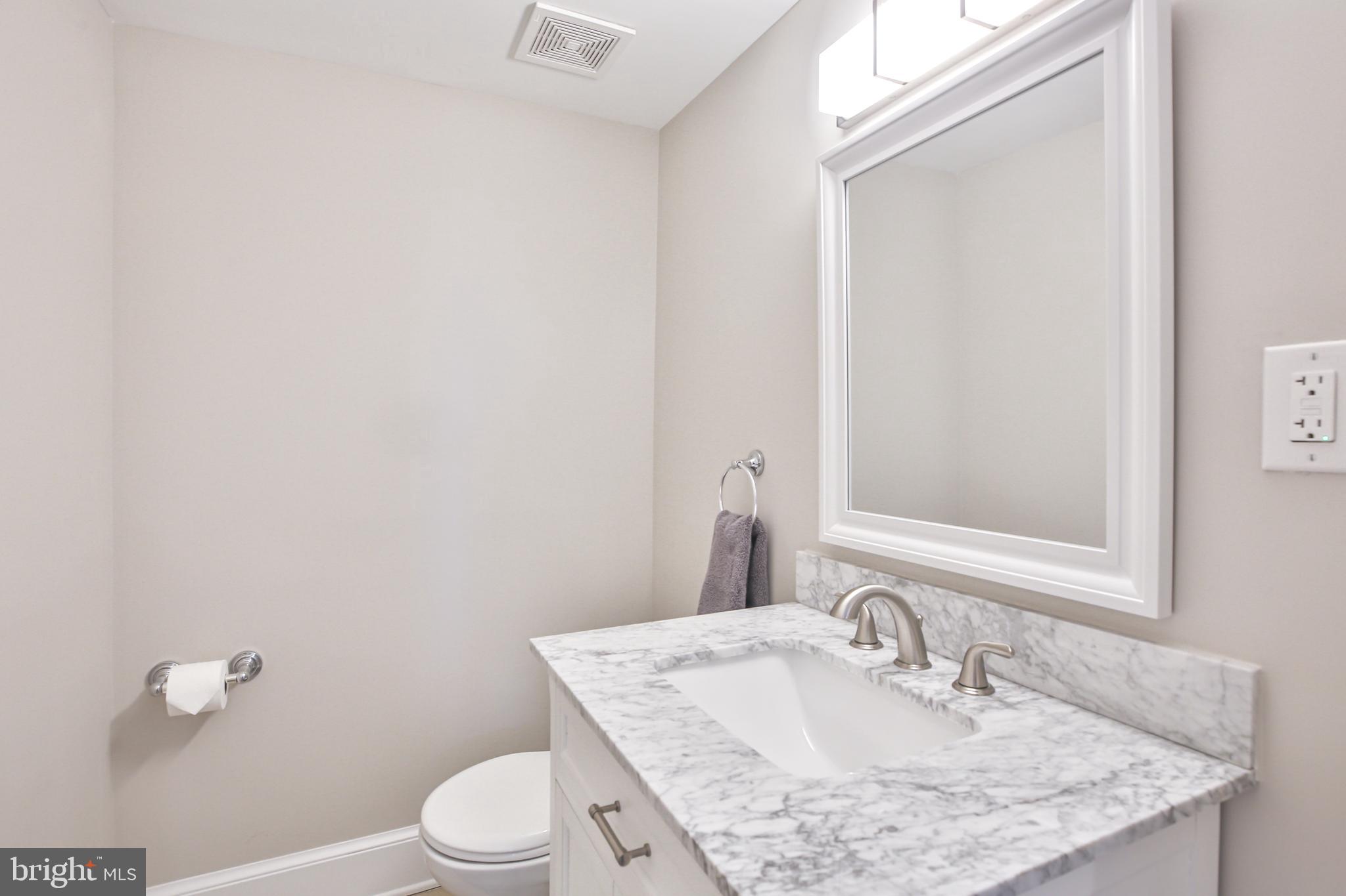 17345 Raven Rocks Road Bluemont, VA 20135 - Photo 66 of 99 a bathroom with a granite countertop sink a toilet and a mirror