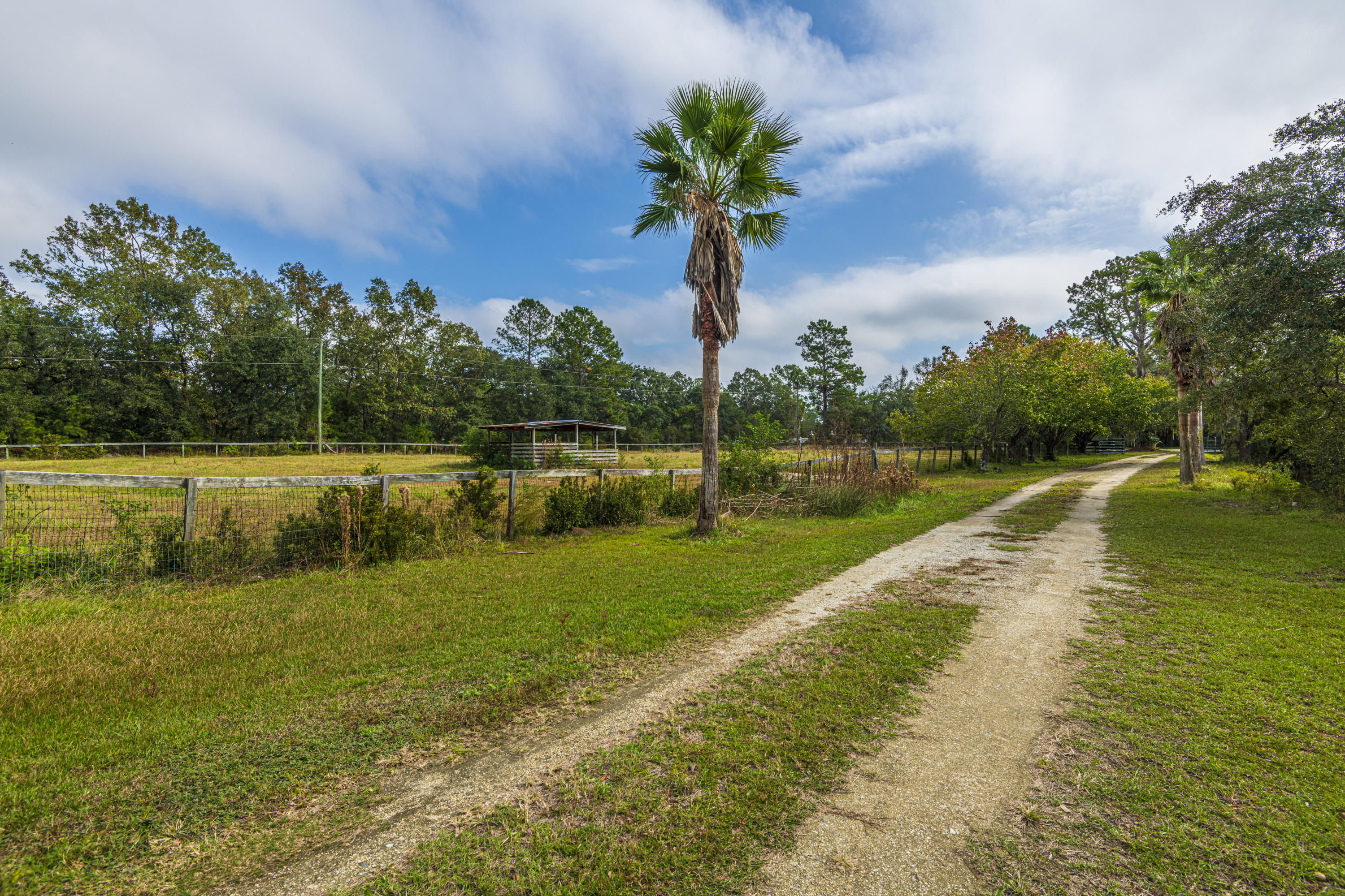 7022 Toogoodoo Road Meggett, SC 29449 - Photo 3 of 62 DSC_4076