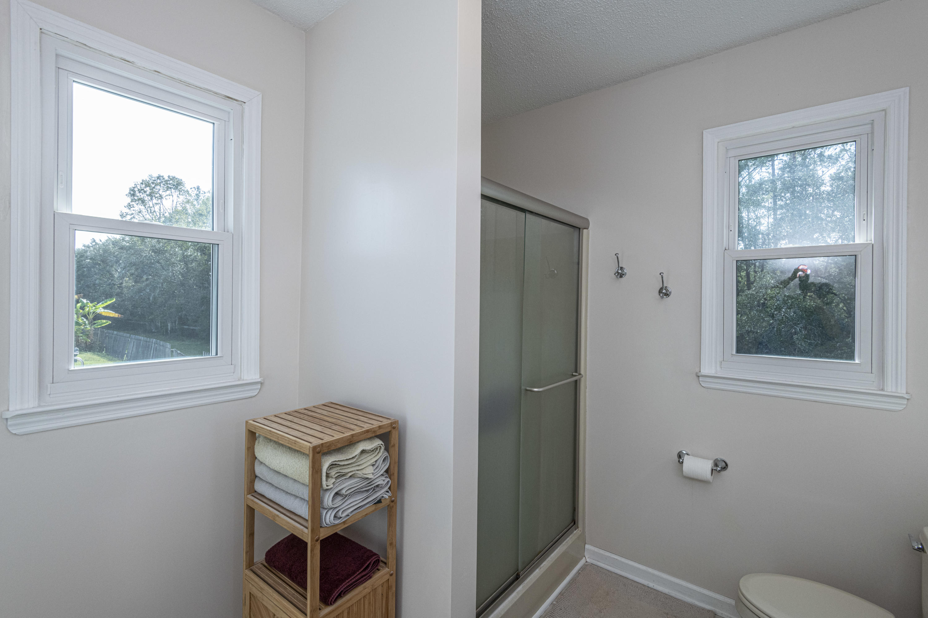 7022 Toogoodoo Road Meggett, SC 29449 - Photo 34 of 62 DSC_4140