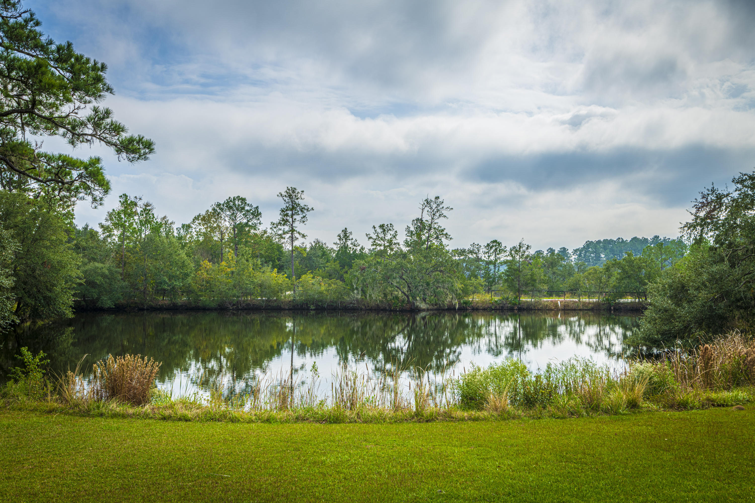 7022 Toogoodoo Road Meggett, SC 29449 - Photo 38 of 62 DSC_4061