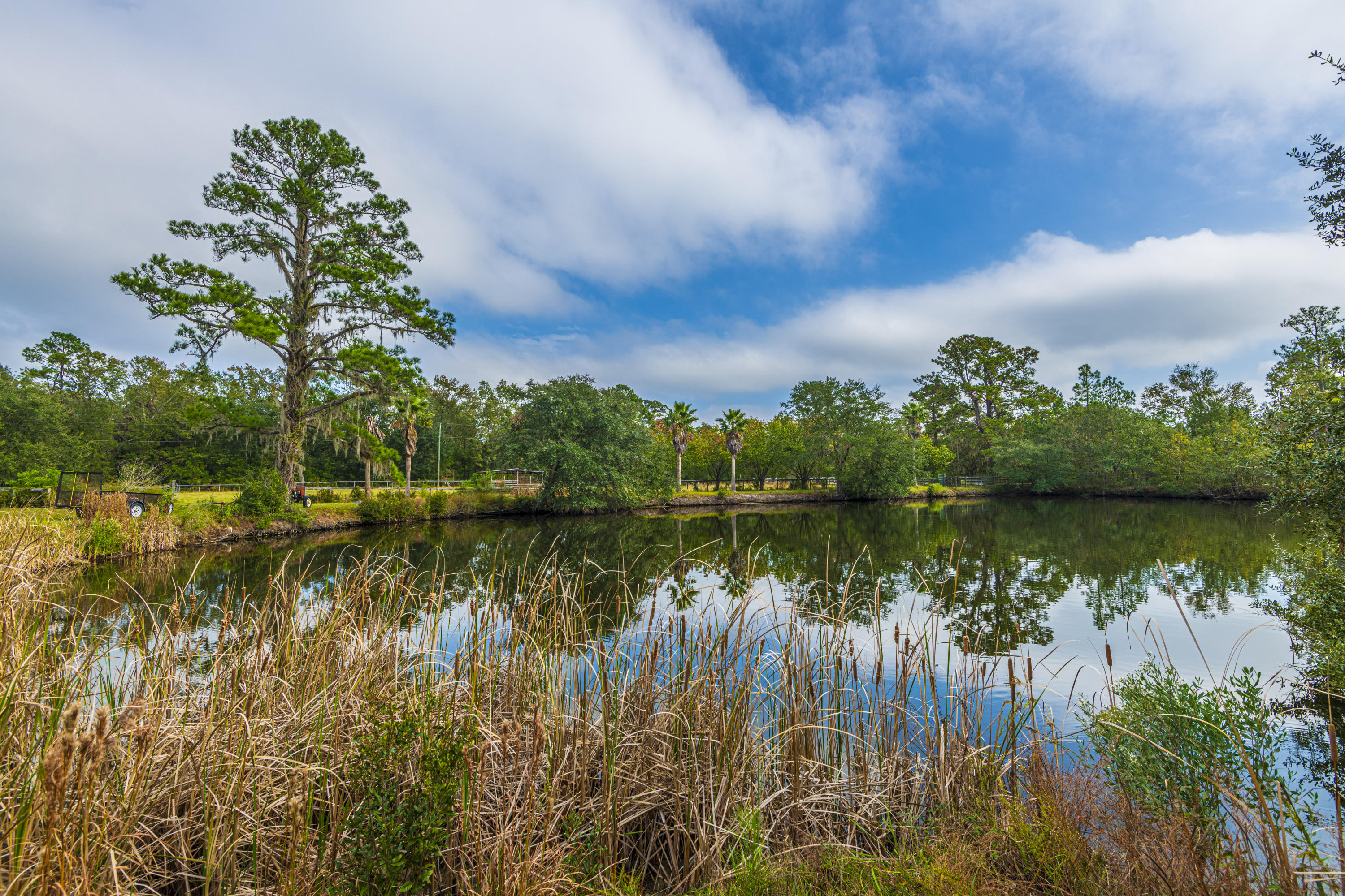 7022 Toogoodoo Road Meggett, SC 29449 - Photo 43 of 62 DSC_4069