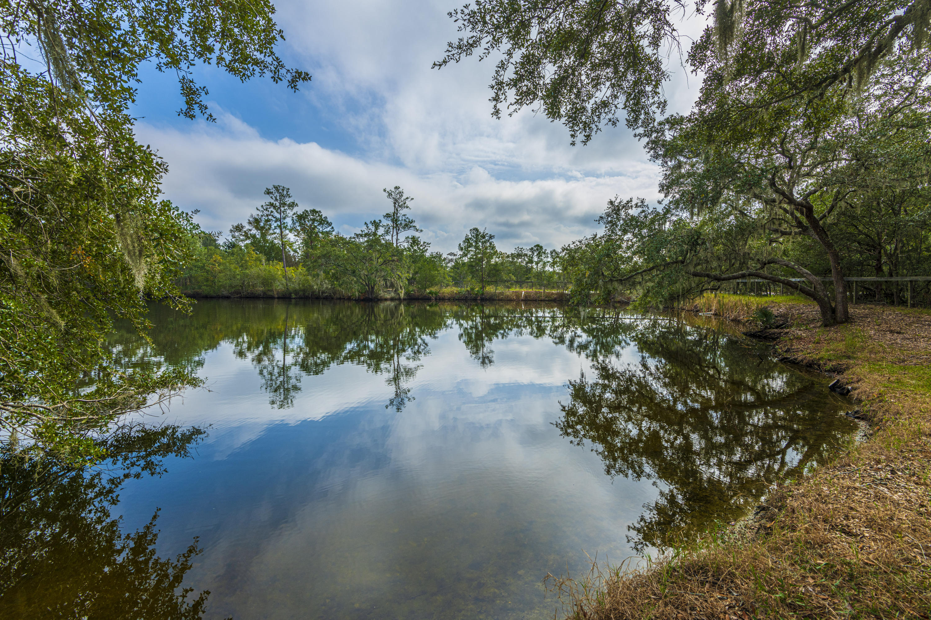 7022 Toogoodoo Road Meggett, SC 29449 - Photo 44 of 62 DSC_4070