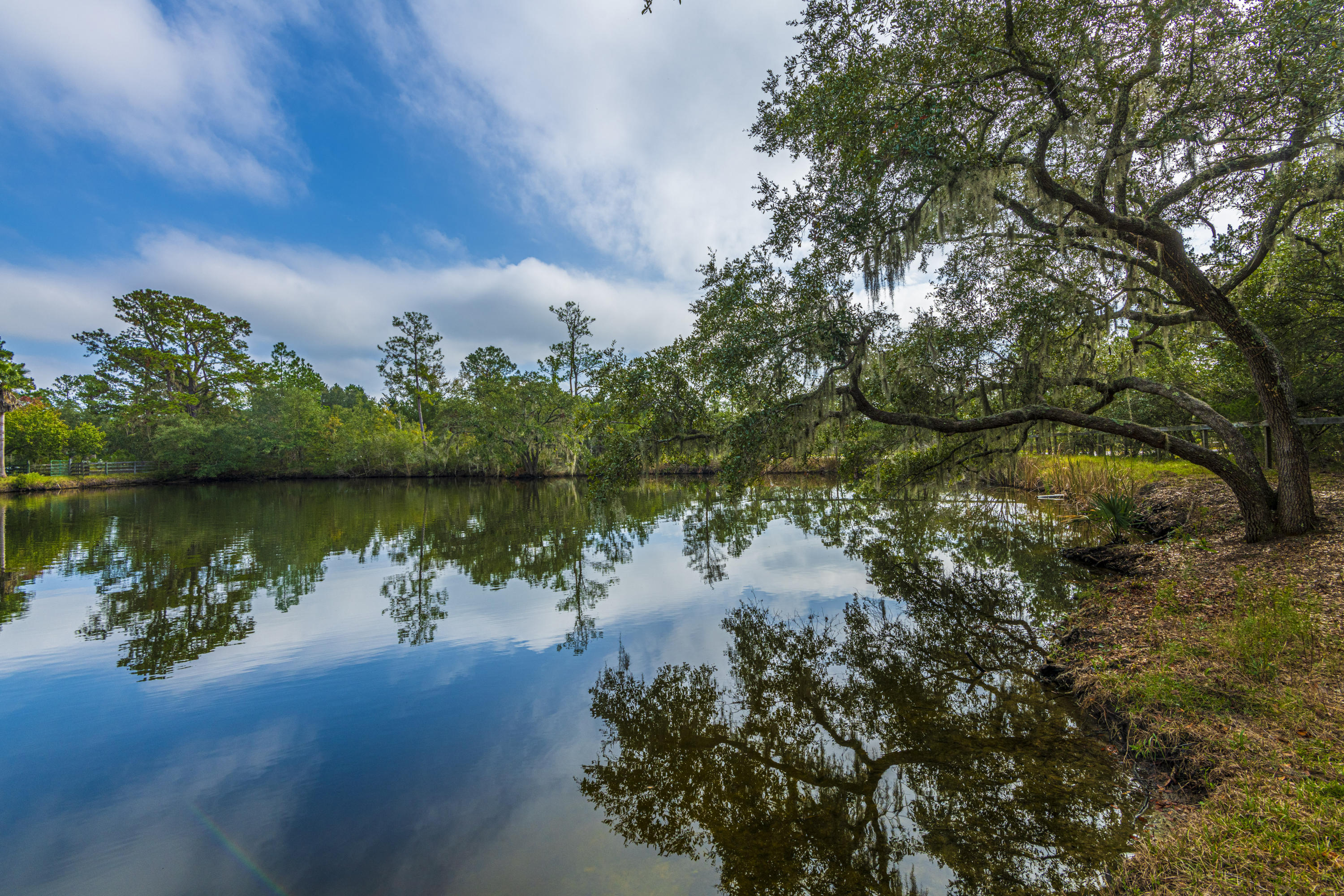 7022 Toogoodoo Road Meggett, SC 29449 - Photo 45 of 62 DSC_4073