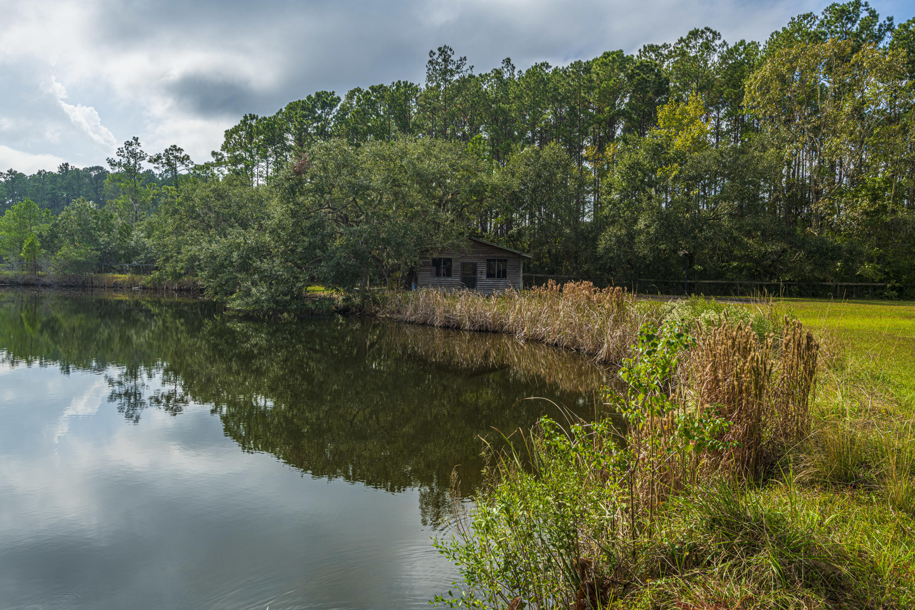 7022 Toogoodoo Road Meggett, SC 29449 - Photo 46 of 62 DSC_4081