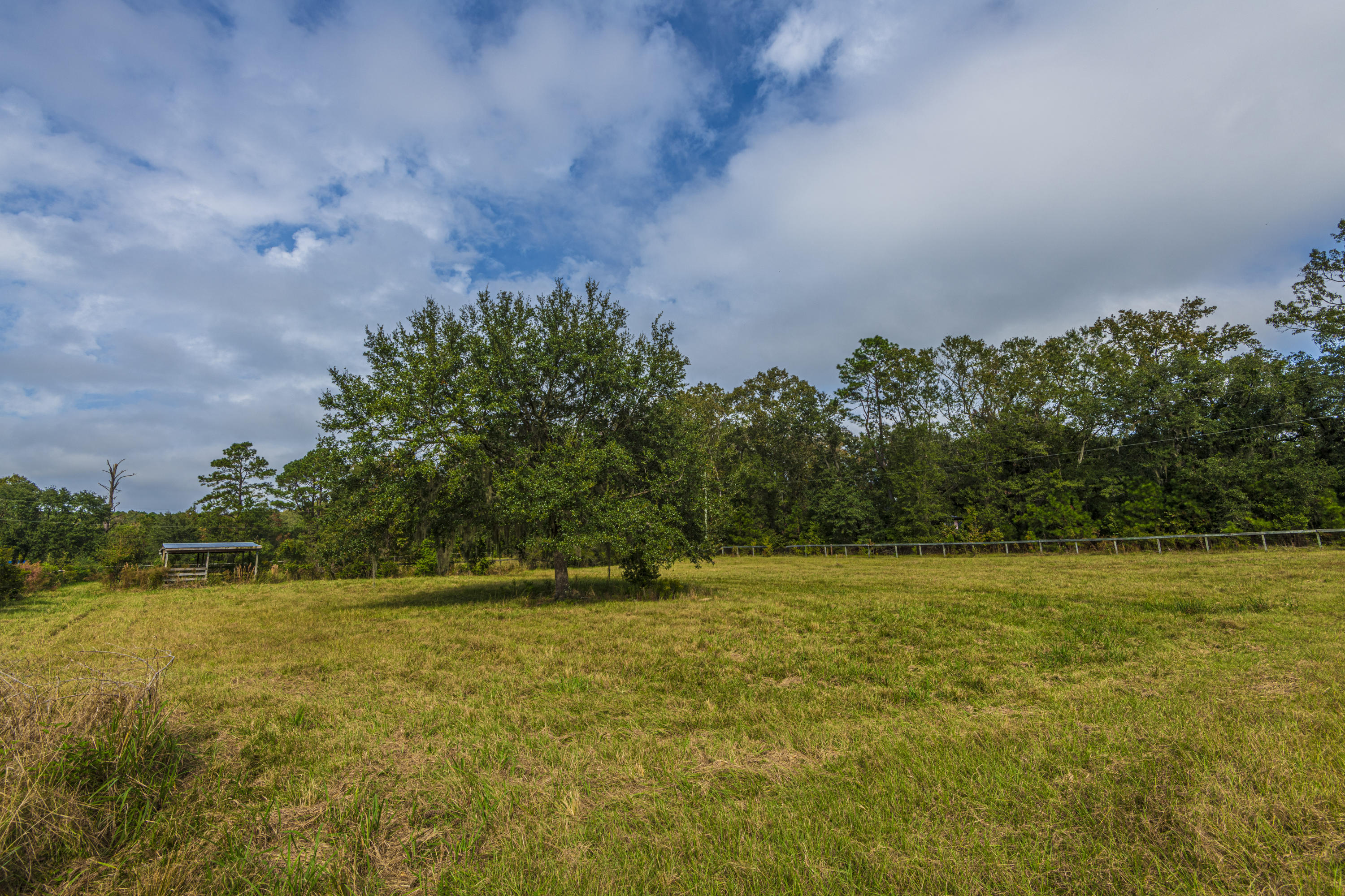 7022 Toogoodoo Road Meggett, SC 29449 - Photo 48 of 62 DSC_4078